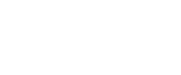 Festival Viva Voz