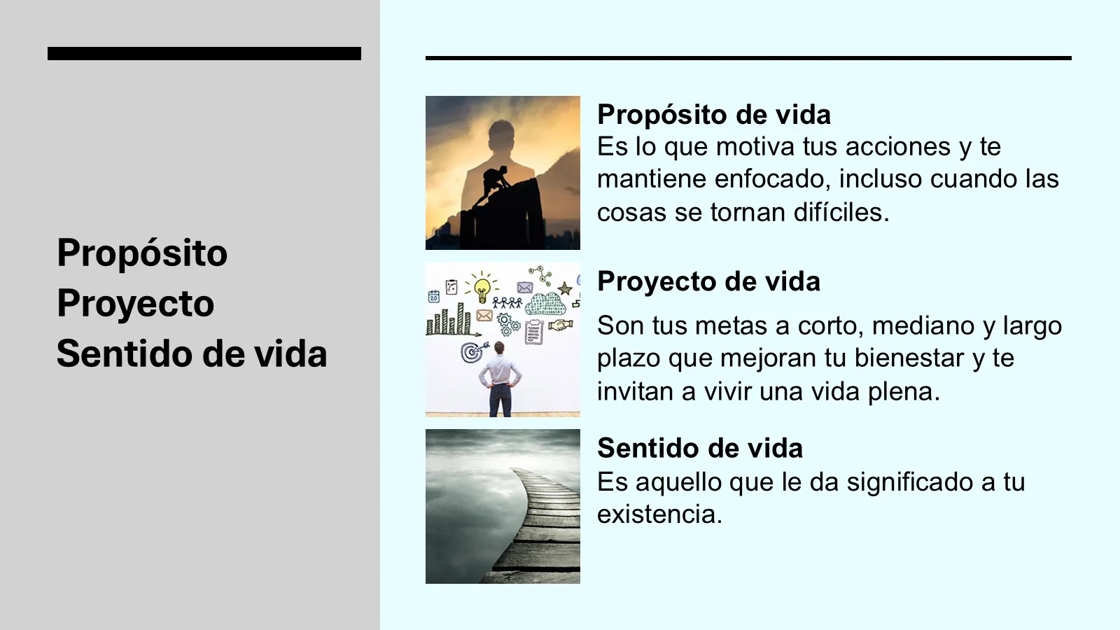 Propósito, proyecto y sentido de vida
